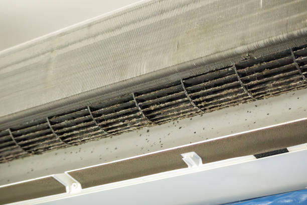 Best Air Duct Mold Removal  in Westfield, WI